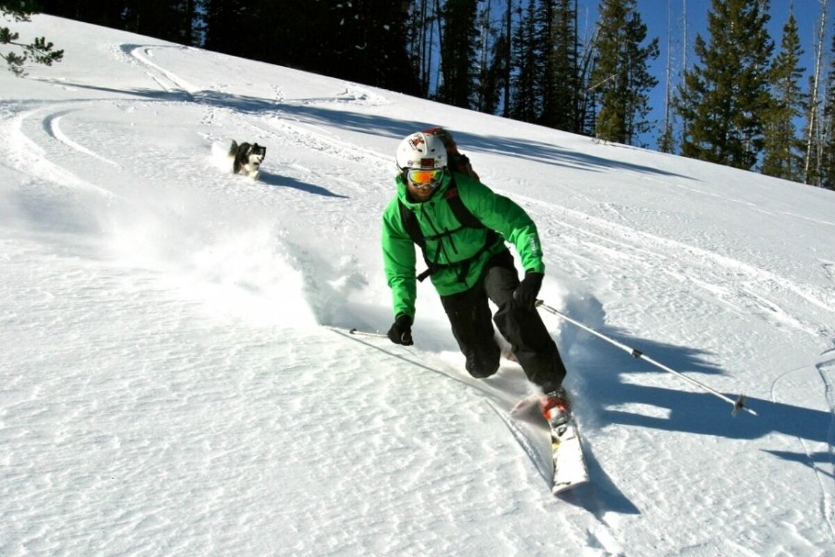 telemark skier and dog