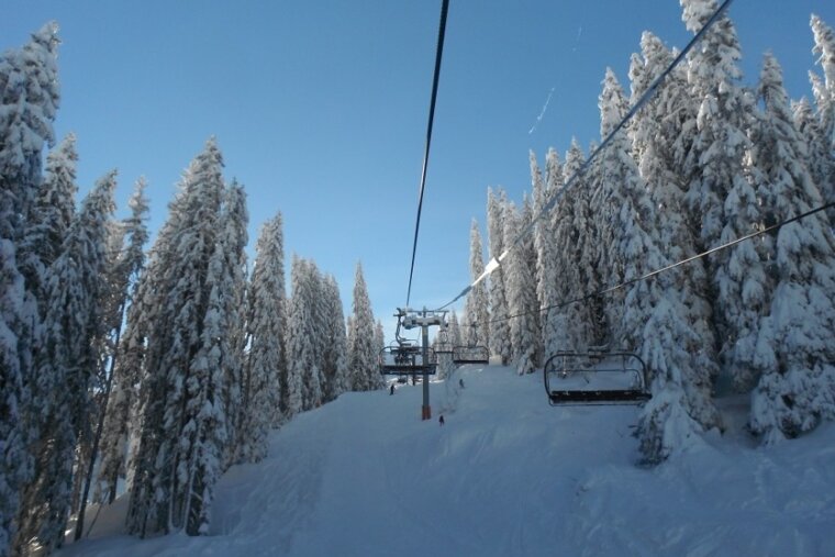 lift powder trees