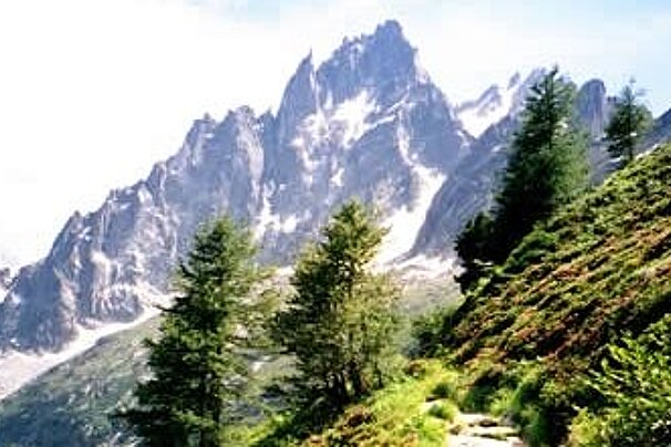 image of a hiking trail with trees and grass and a mountain view in the background