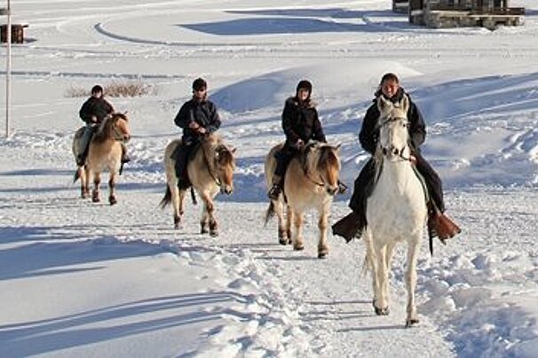 Horse Riding in Tignes