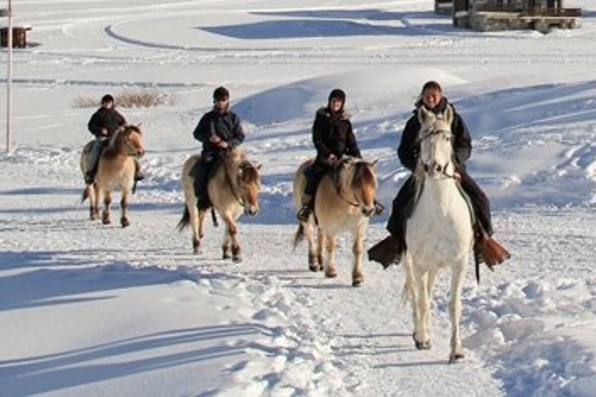 Horse Riding in Tignes