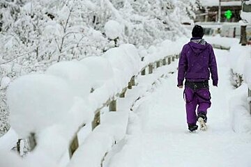 snowy walk