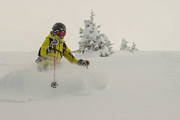 A person in a yellow jacket is skiing in the snow