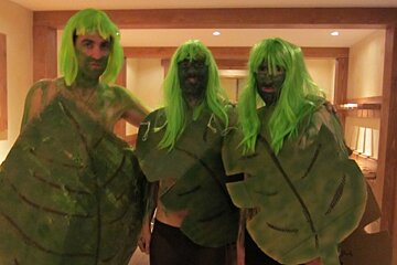 an image of jungle fancy dress