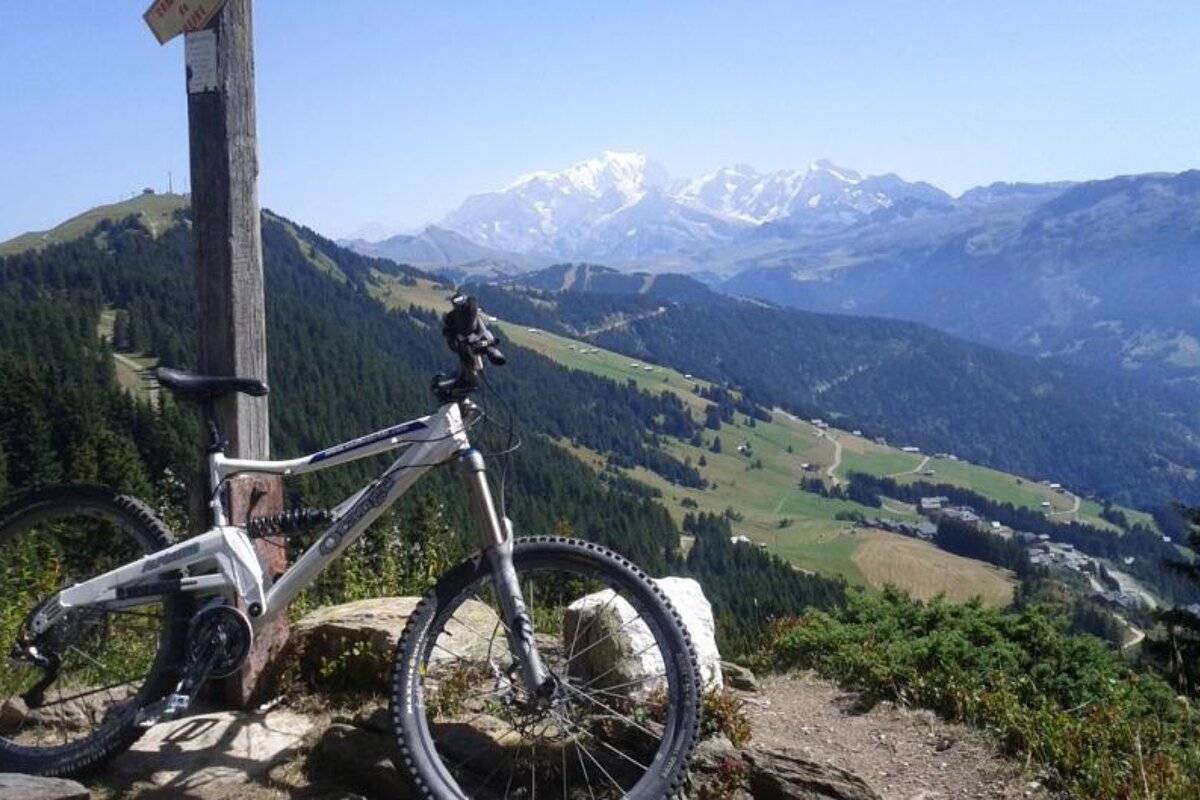 a picture of a bike leaning against a sign post