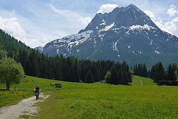 an image of a mountain biker crossing a meadow in front of a mountain