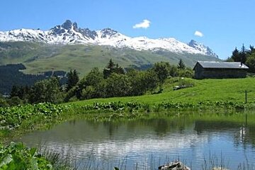 image of a small lake up a mountain in a field with the mountains in the background and snow on the peaks