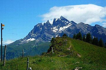 A mountain covered in snow is surrounded by grass and trees on a sunny day