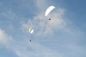 paragliders