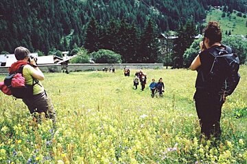 taking photos in an alpine meadow