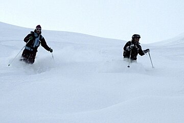 skiers in powder