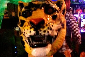an image of a tiger mask