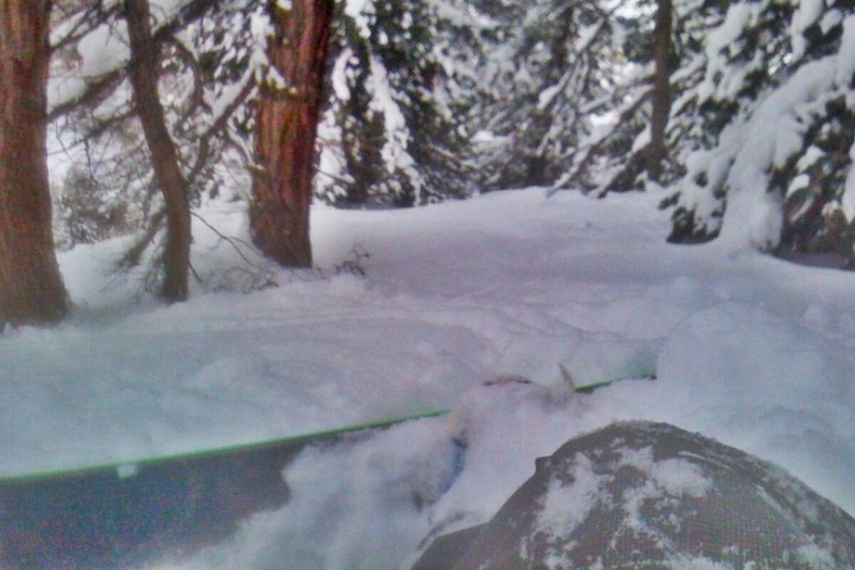 an image of snow and trees with snowboard in front