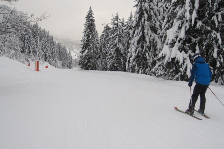 skier on truite run