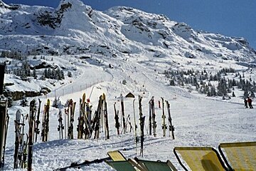 A bunch of skis are lined up in the snow
