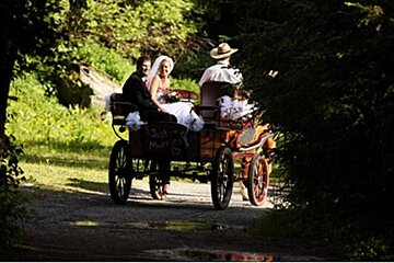 a picture of a married couple on the back of a horse drawn cart