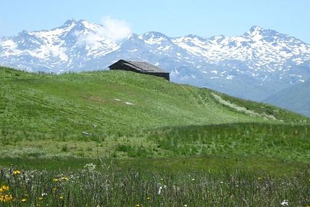 image of a mountain meadow with rolling hills and flowers and a chalet in the distance, with the snow covered mountain peaks in the background