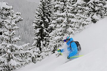 an image of a skier in trees in waist deep powder
