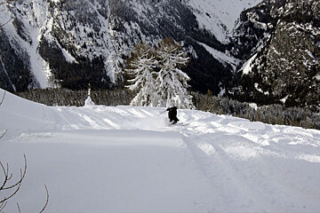 a photo of a skier in powder snow