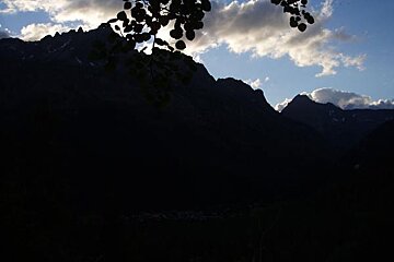 A silhouette of a tree with mountains in the background