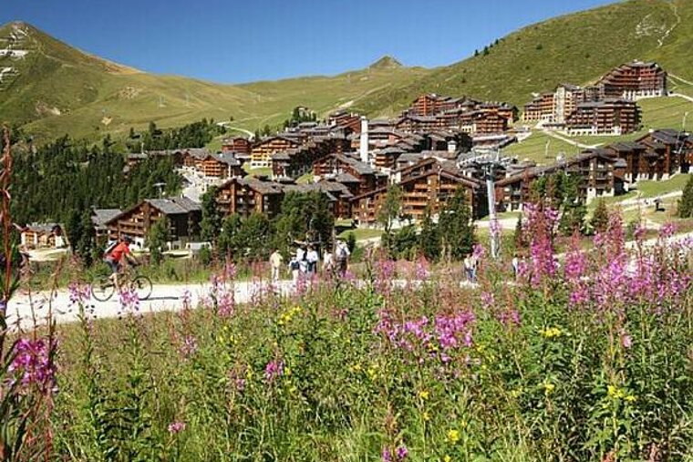 A man is riding a bike in a field of flowers in front of a mountain village