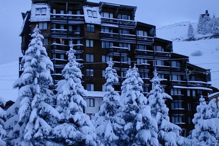 Snow covered trees in front of a building with the number 50 on it
