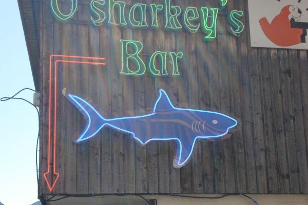 A neon sign for o ' sharkey 's bar with a shark on it