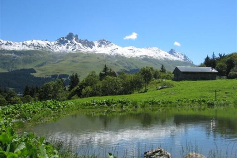 A small pond in the middle of a grassy field with mountains in the background