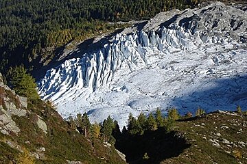 A large glacier in the middle of a forest