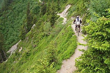 A person riding a bike down a trail in the woods