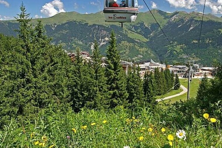 A ski lift is going up a mountain surrounded by trees and flowers