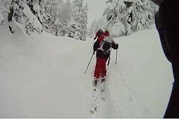 two skiers walking through powder with trees either side