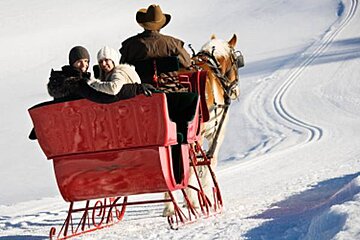 a picture of a newly married couple in a horse drawn sleigh