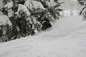 A person riding a snowboard through a snowy forest