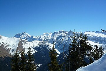 A snowy mountain range with trees in the foreground