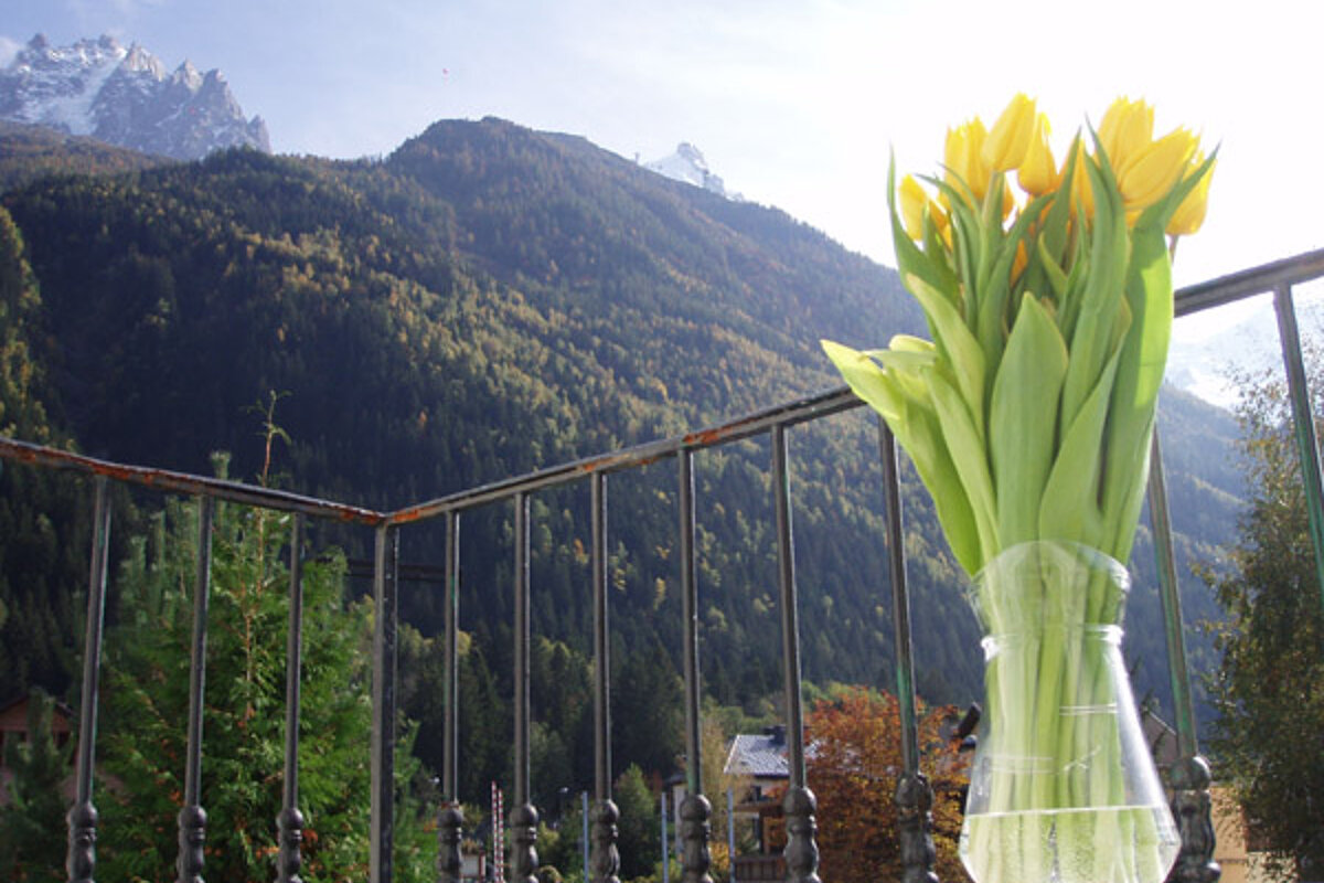 A vase of flowers sits on a balcony with mountains in the background