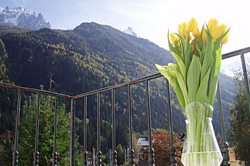 A vase of flowers sits on a balcony with mountains in the background