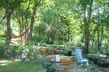 A table and chairs are sitting in the middle of a forest