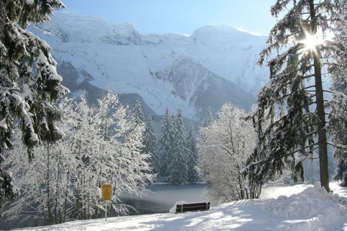 A snowy forest with mountains in the background and the sun shining through the trees