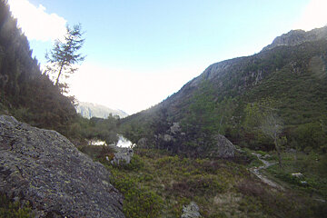 A valley with trees and mountains in the background