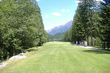 A golf course surrounded by trees with mountains in the background