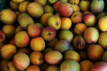 A bunch of yellow peaches with red spots on them