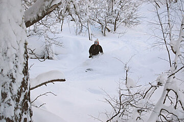A person riding a snowboard through a snowy forest