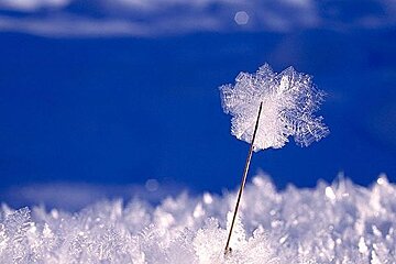 A snowflake with a needle sticking out of it