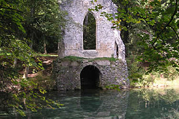 A stone bridge over a body of water in the middle of a forest