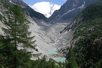 A valley with trees and mountains in the background