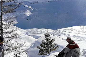 A snowboarder sits on a snowy slope near a tree