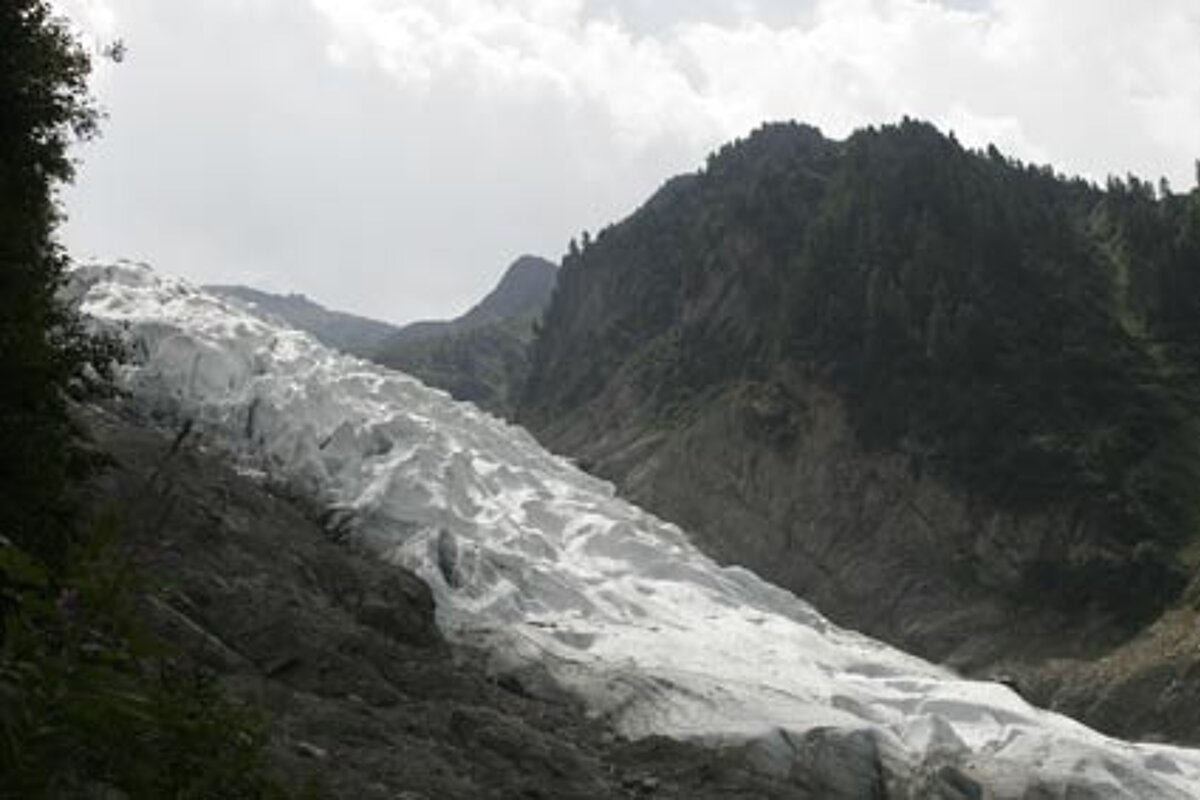 an image of the Bossons glacier against rocks and trees