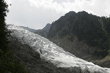 an image of the Bossons glacier against rocks and trees