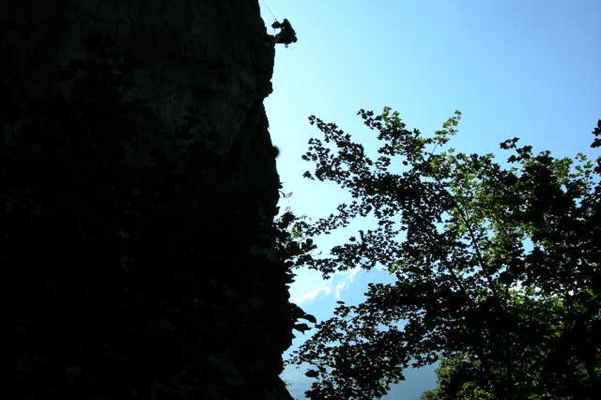 A silhouette of a person climbing a cliff with a tree in the foreground
